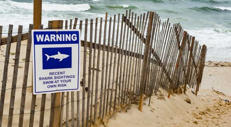A shark warning sign is posted on a wooden beach fence
